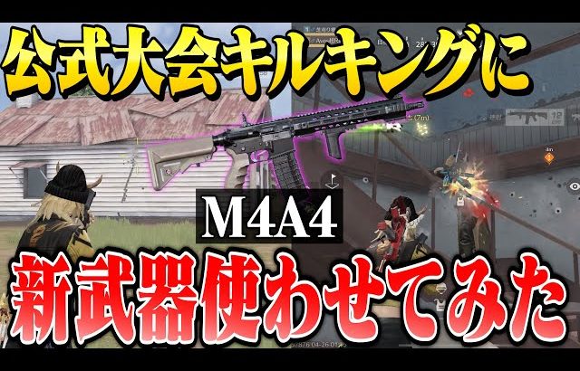 新武器M4A4が実装されたのでキルラン常連のプロ選手に使わせてみた【荒野行動】（αD公式ch）