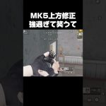 また最強武器出てもうてるやんか【荒野行動】（柊）