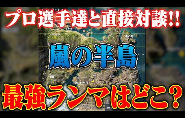 競技シーンでよく聞くランドマーク!?どこが最強かプロ達に直接聞いた結果【荒野行動】（αD公式ch）