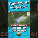 なぜVogelが漁ってるとこに突っ込んだ理由【荒野行動】#shorts（αD公式ch）