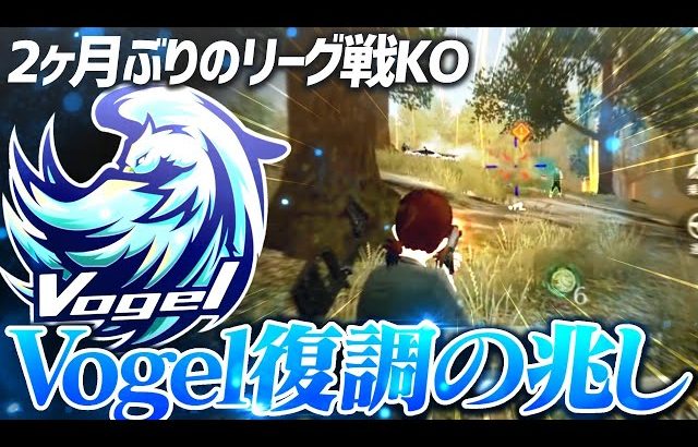 【荒野行動】2カ月振りのリーグ戦で見事にKO!!Vogel復調の兆しが見えた一戦が激熱すぎたｗｗｗ（ふぇいたん）