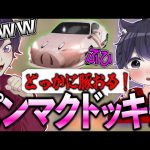 【荒野行動】大会中にろうにドッキリしたらおもろすぎたｗｗｗ【れんぴき】【とと】【あみちゃん】【タバコ】（れんぴき）