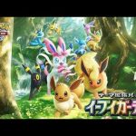 【ポケポケ】現在14位 前期世界ランク2位のガチランクマッチ【イーブイガーデン】（ふぇいたん）