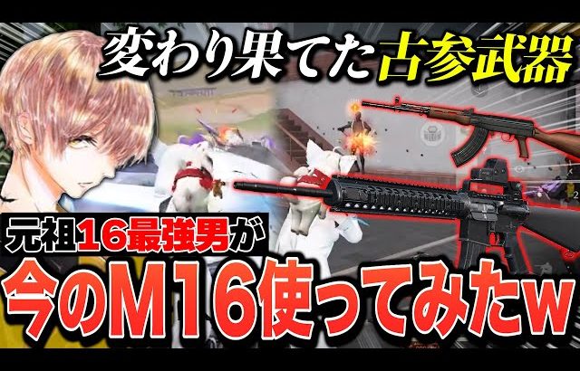 【M16/AK】変わり果てた古参武器が最強すぎてフルパボッコボコに出来るんだけどwww【#荒野行動 】（危!）