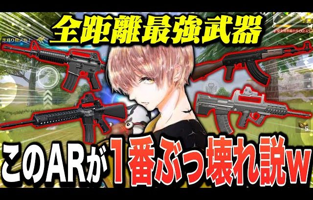 【Tier1】現環境で最強のAR武器見つけたwww【荒野行動】（危!）