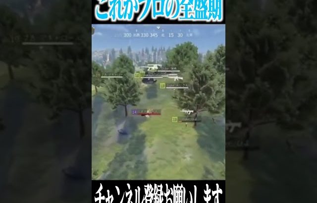 【荒野行動】これが俺の全盛期です（Maro）