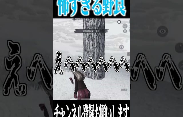 【荒野行動】野良で一緒になった人がやばすぎるwwwww（Maro）