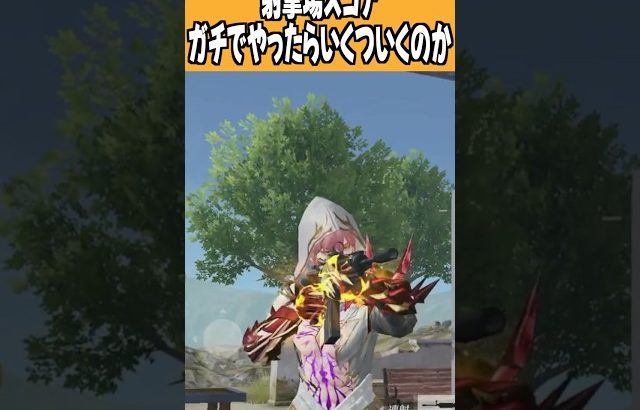 【荒野行動】みんなの最高スコアはいくつ??（Maro）